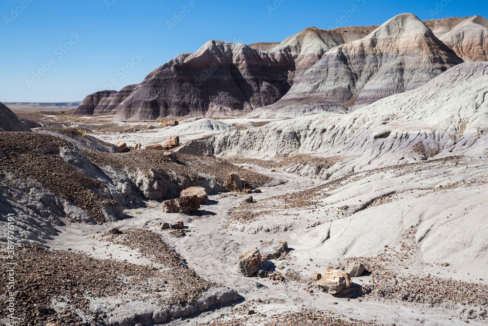 Landscape view of the beautifully colorful mounds in Petrified Forest National Park (Arizona).