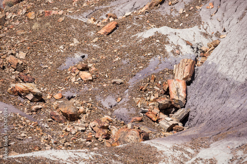 Landscape view of the beautifully colorful mounds in Petrified Forest National Park (Arizona).