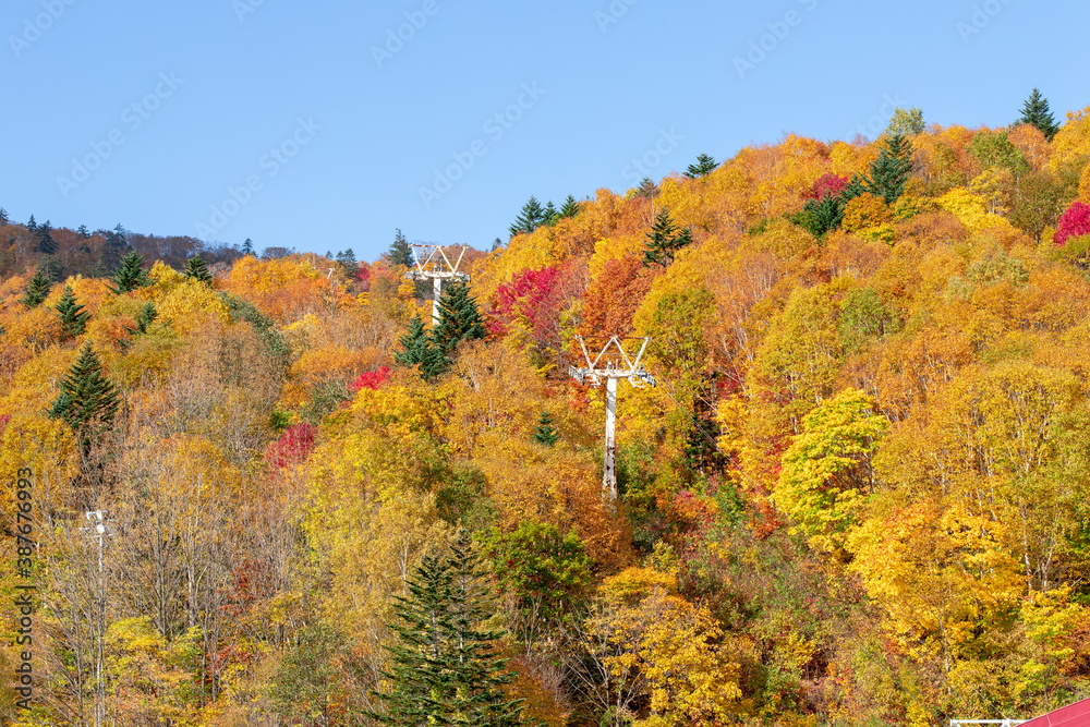 北海道の秋の風景　札幌市の紅葉
