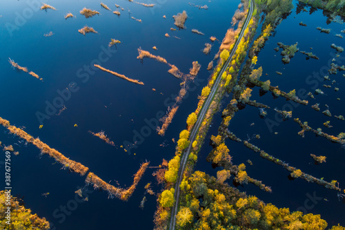 Aerial view of swamp texture and pattern in national park of Kemeri, during sunset.