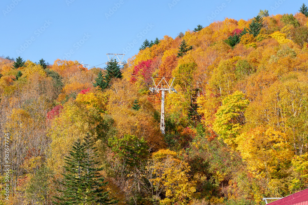 北海道の秋の風景　札幌市の紅葉