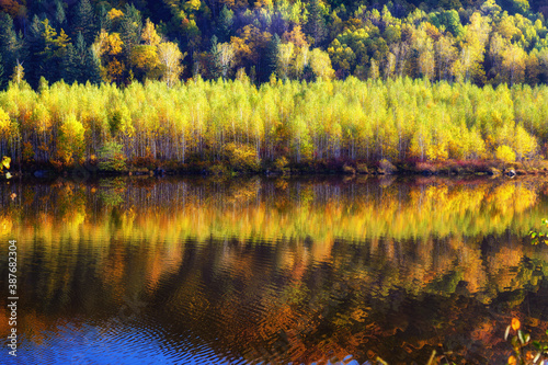 The autumn landscape of Singanense of China.