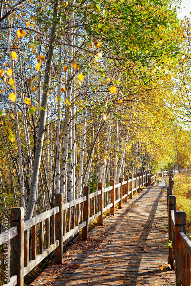The wooden trestle in autumn forest.
