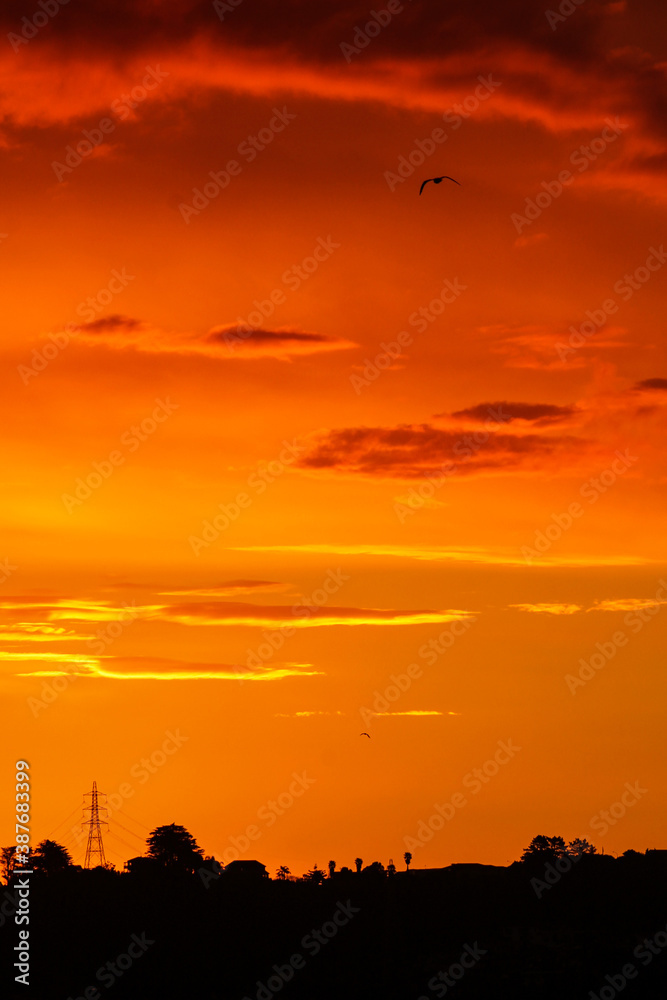 black and orange sunset