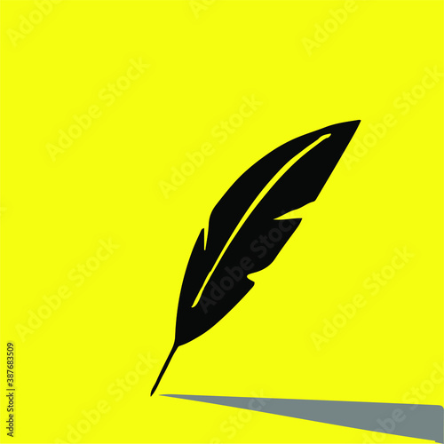 feather icon isolated on background