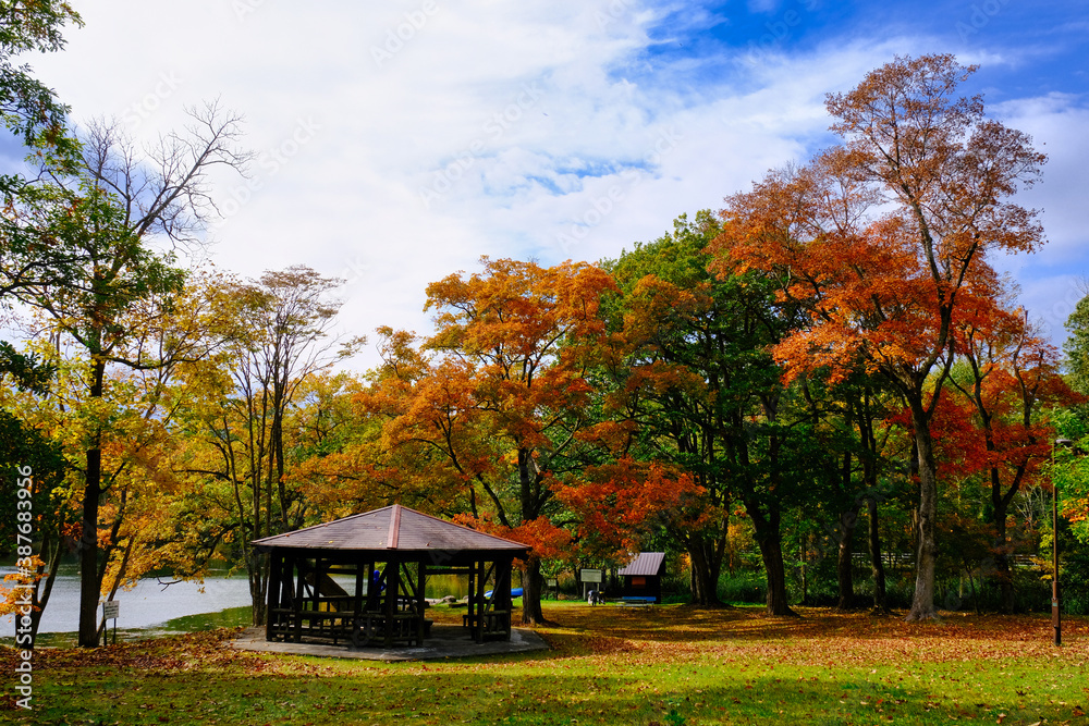 鳥沼の紅葉 鳥沼の紅葉