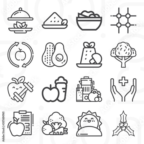 16 pack of sensible  lineal web icons set