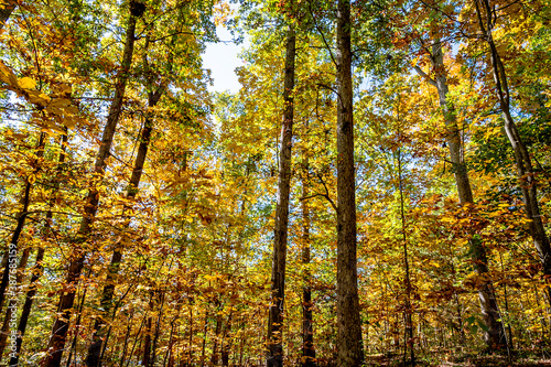 Blue Ridge Parkway