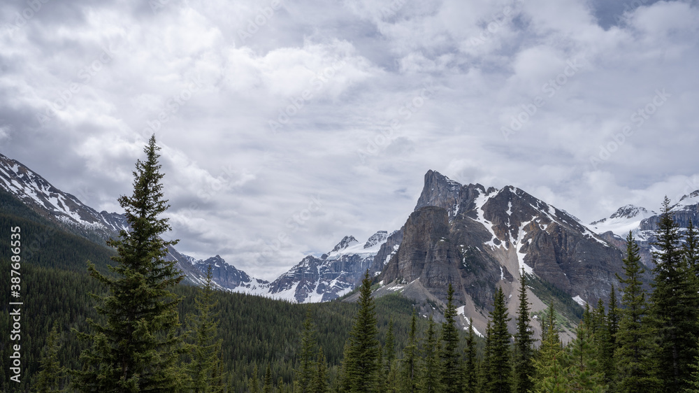 Beautiful alpine valley with snowy peaks and forest in foreground, shot on a overcast day at Moraine Lake road, Banff National Park, Alberta, Canada