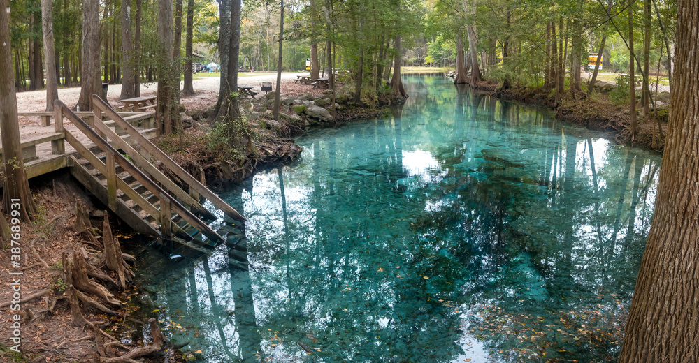 Naklejka premium Little Devil's Spring on the Santa Fe River, Gilchrist County, Florida