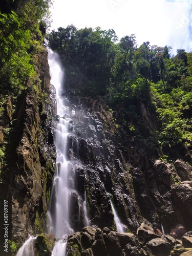 waterfall in the forest