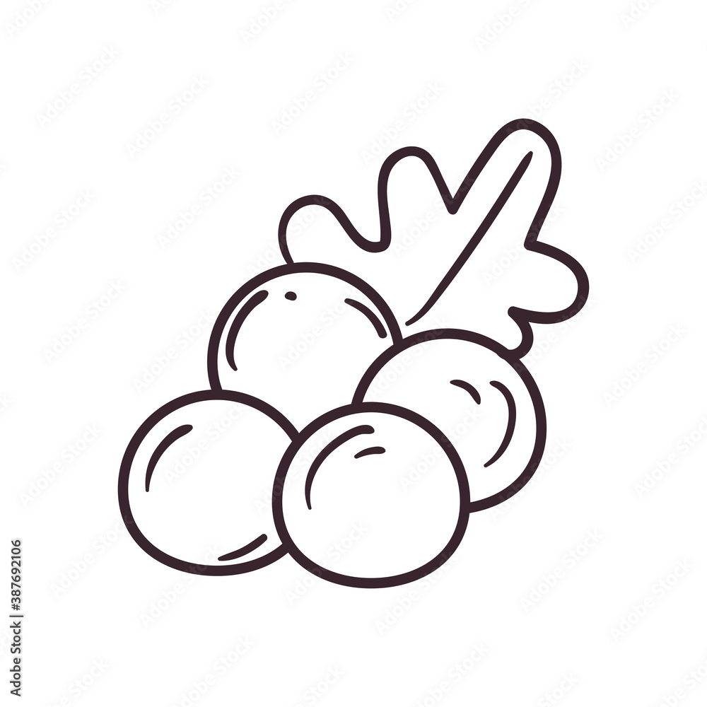 berries fruit line style icon vector design berries fruit line style icon vector design