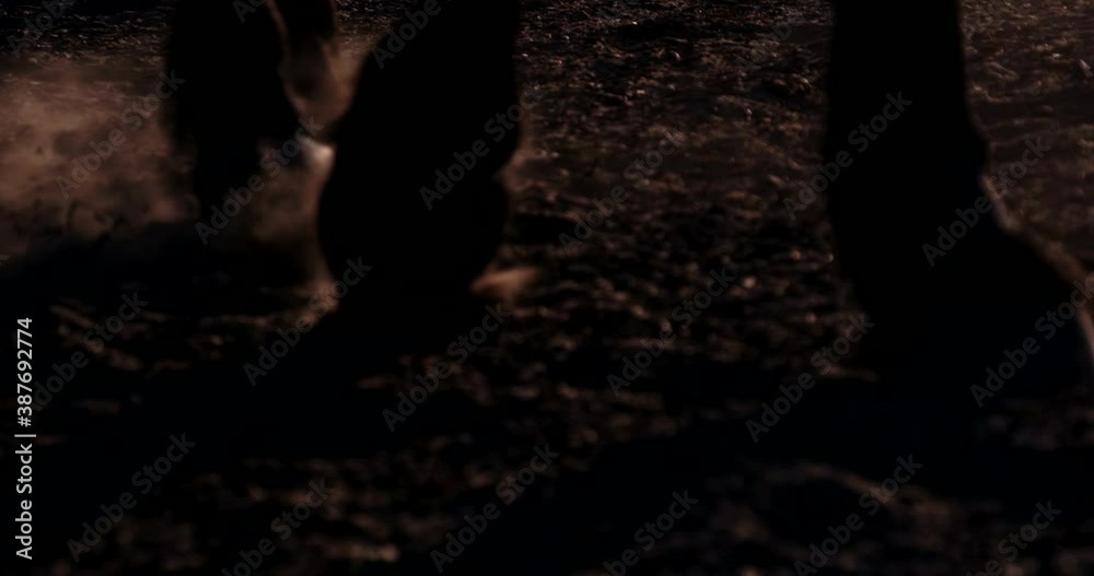 Equestian sport and active lifestyle. Close up horse hooves step ground at sunset. Dust and smoke swirls. Slow motion. Animals concept. Slow motion. Equestian sport and active lifestyle. Close up horse hooves step ground at sunset. Dust and smoke swirls. Slow motion. Animals concept. Slow motion.