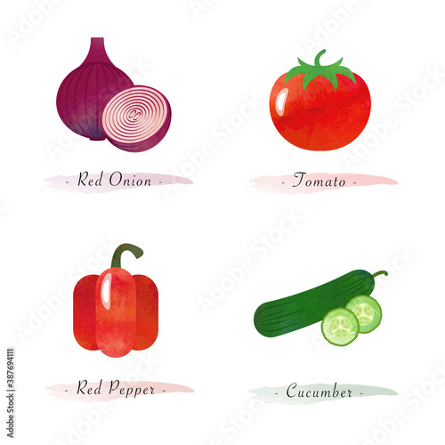 Watercolor healthy nature organic plant vegetable food ingredient red onion tomato red pepper cucumber