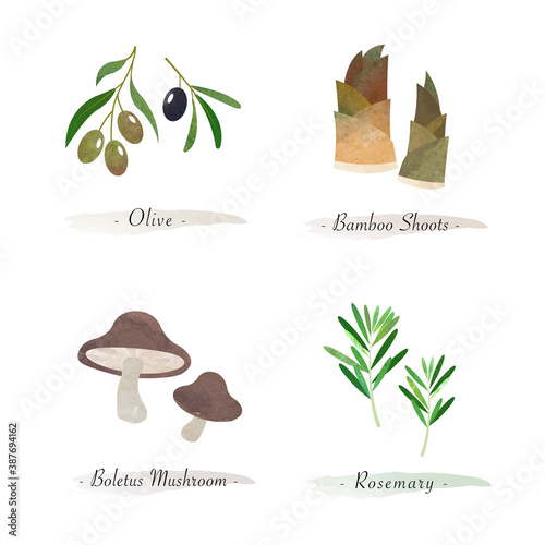 Watercolor healthy nature organic plant vegetable food ingredient olive bamboo shoots boletus mushroom rosemary