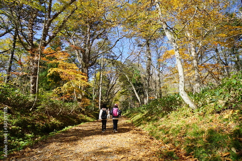 The back view of two women hiking.