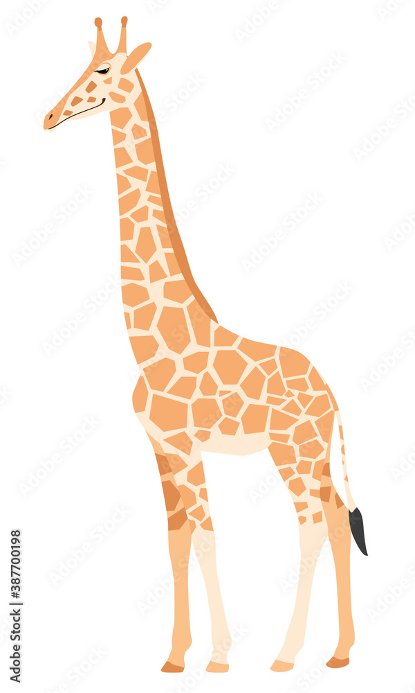 Obraz premium Cute giraffe. Funny African character. Vector graphics