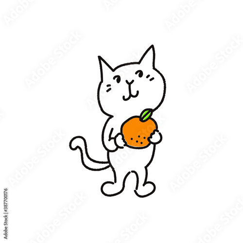オレンジを持っている白い猫
