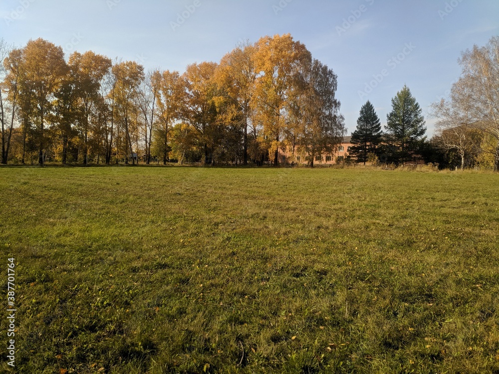 Fototapeta premium autumn in the park