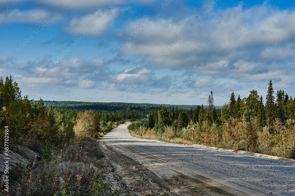 Forest dirt road in the wilderness along the river	