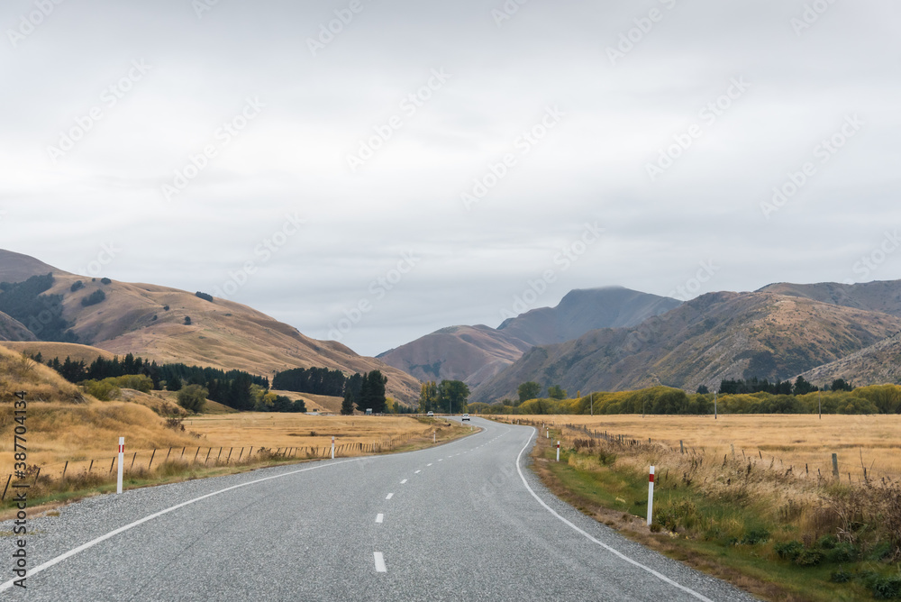 long road in yellow grass valley with sky and white cloud