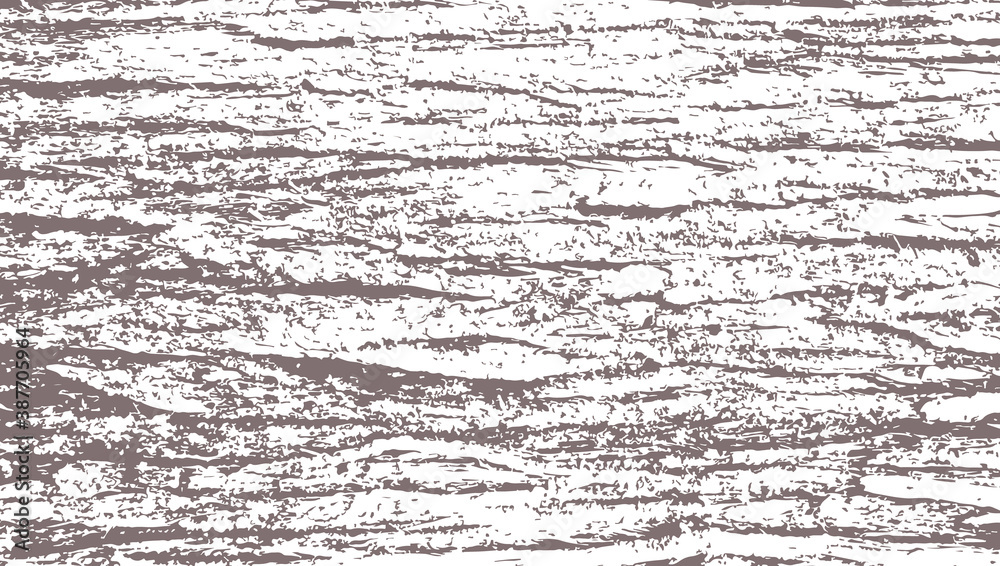 Cedar bark texture - obrazy, fototapety, plakaty 