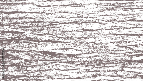 Cedar bark texture photo
