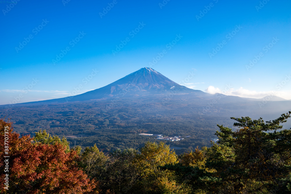 Fototapeta premium 紅葉台からの富士