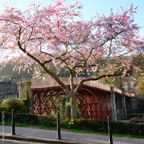 Ironbridge photo