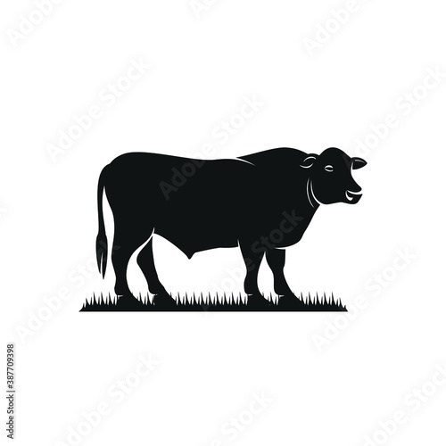 black angus cattle standing on grass vector photo