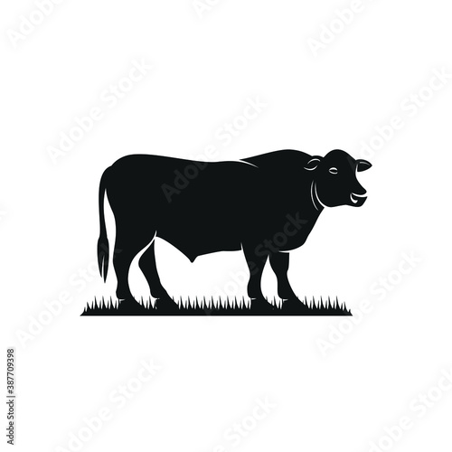 black angus cattle standing on grass vector