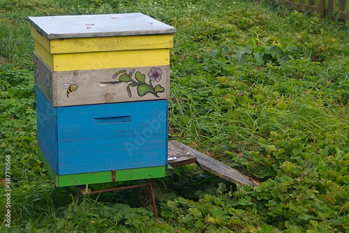 beehive on a green lawn in autumn