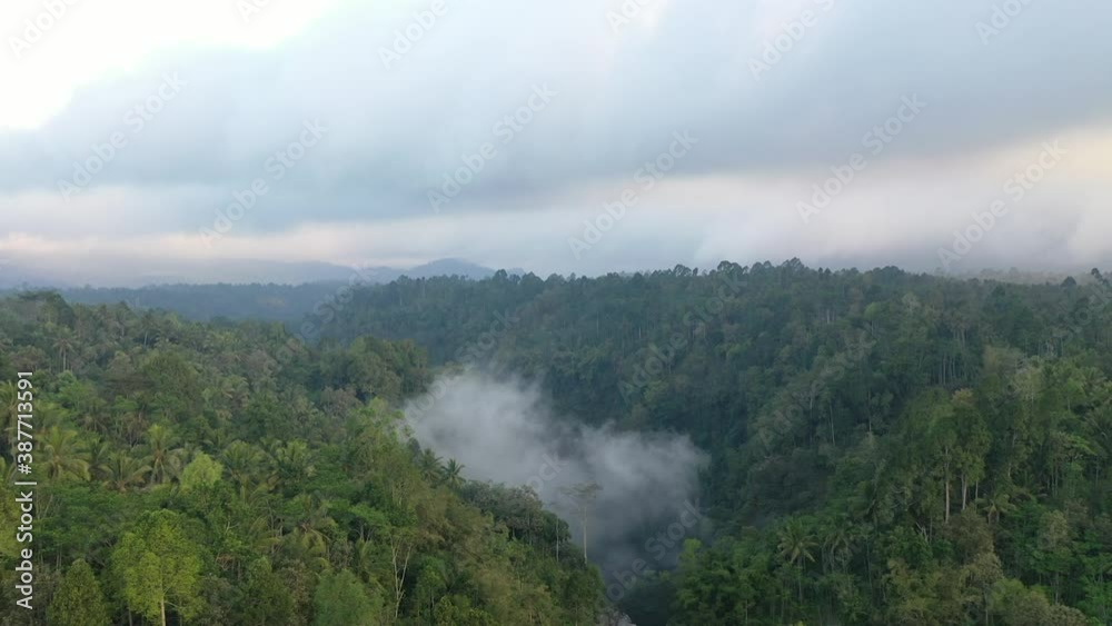 fog in the mountains fog in the mountains