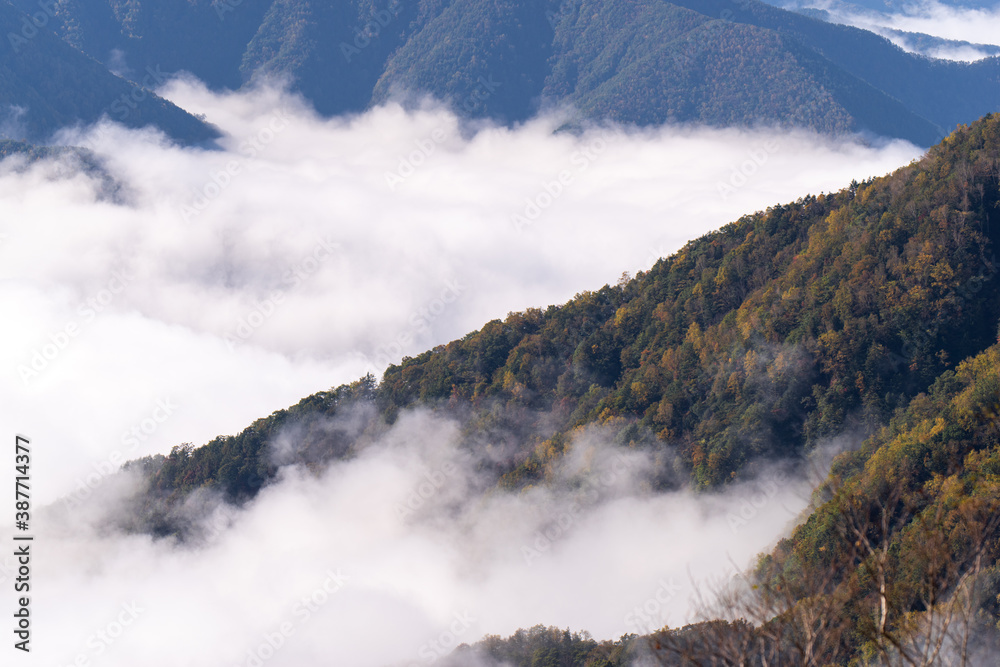  紅葉し始めた谷を雲海が覆う