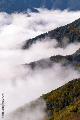  紅葉し始めた谷を雲海が覆う