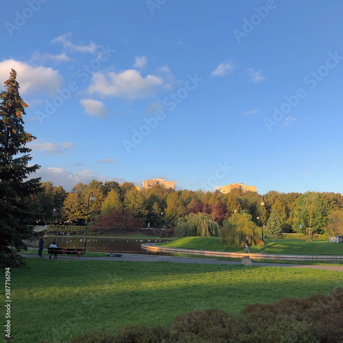 autumn landscape with trees © Yana