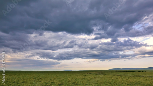 The endless green savanna stretches to the horizon. Evening. Purple clouds in the rosy sky. Kenya. Amboseli park.