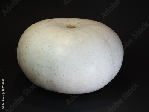 pumpkin on black background