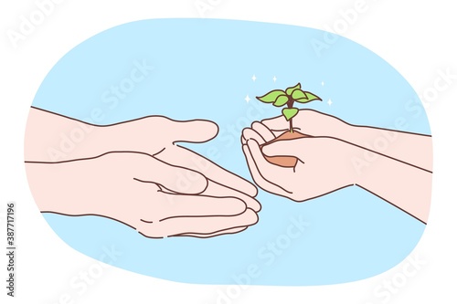Ecology, environment, biology charity, earth day concept. Human character hands holding and passing sapling or plant. Nature protection and bilogical enviromental friendly care or new life symbol. photo