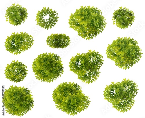 Collection of abstract watercolor green tree top view isolated on white background for landscape plan and architecture layout drawing, elements for environment and garden. 