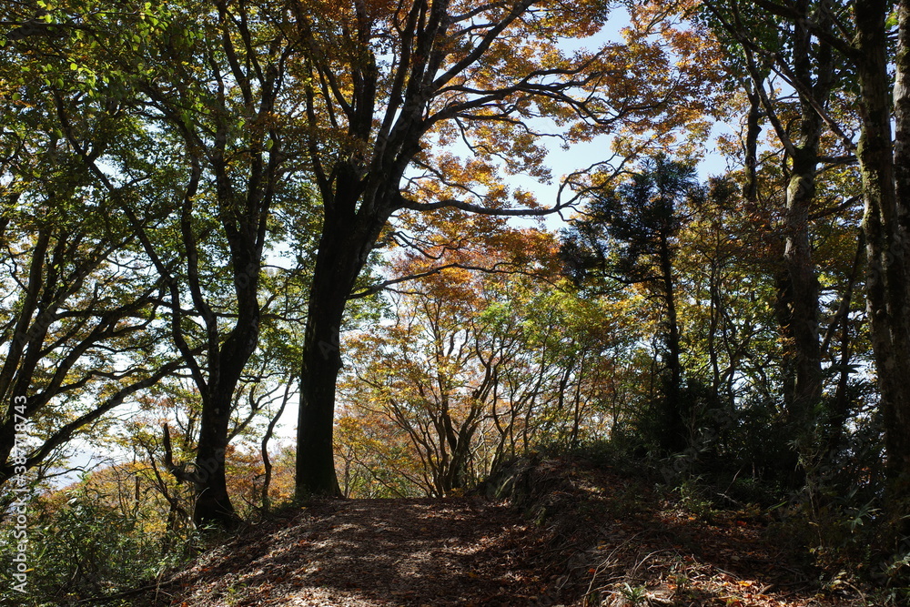 とても美しい日本の秋の山の景色