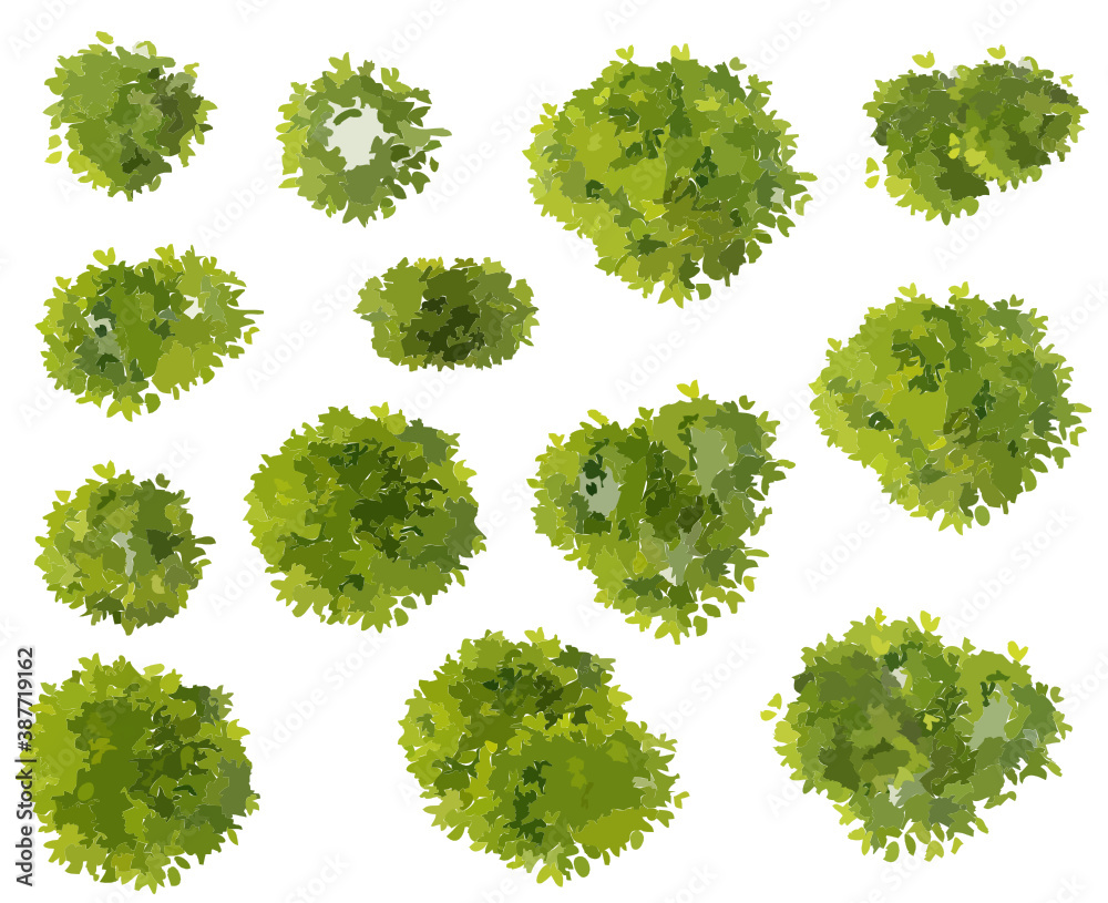 Vector Collection of abstract green tree top view isolated on white background  for landscape plan and architecture layout drawing, elements for environment and garden.  