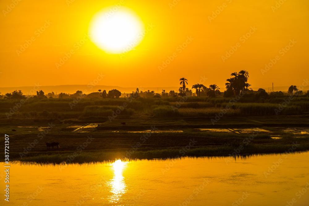 Obraz premium Sunset on the river with palm trees and villages on the river bank, seen from the Nile river cruise. Egypt. Sailing from Luxor to Aswan, view of traditional villages and the nature of the Nile river