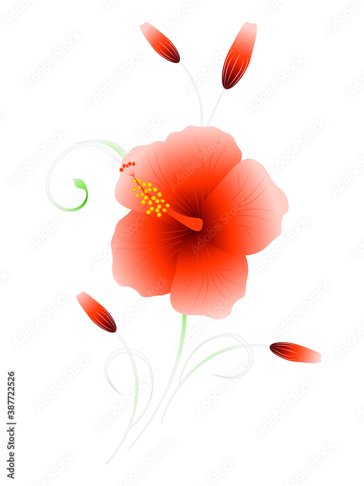 Floral background with hibiscus, element for design.