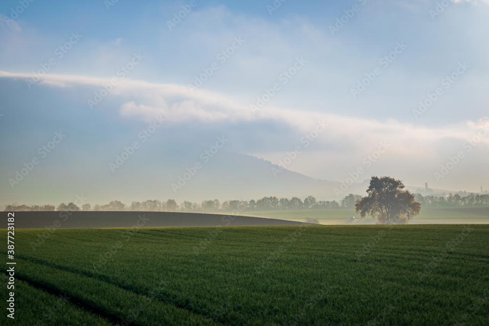 landscape with field and clouds landscape with field and clouds