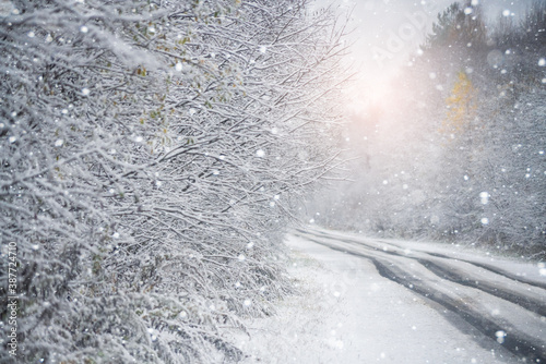 Winter road through the forest  © scharfsinn86