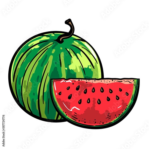 ripe whole watermelon and part of it. color illustration on white background