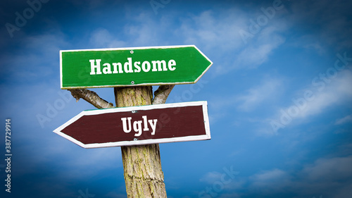 Street Sign Handsome versus Ugly © Thomas Reimer