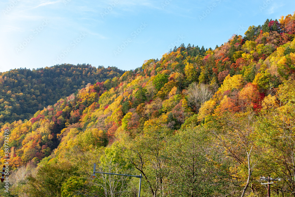 北海道の層雲峡の紅葉