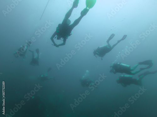 Grupo grande de submarinistas buceando juntos 